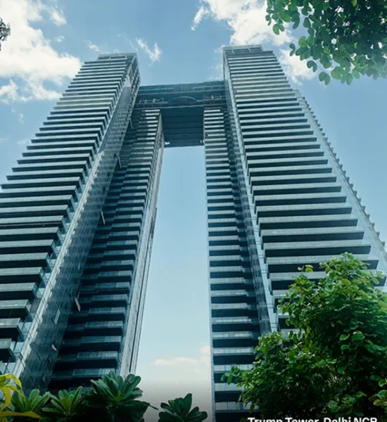 tribeca_banner